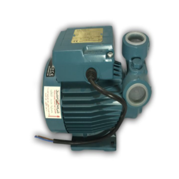 Calpeda Water Pump, 0.5 HP 