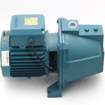 Calpeda Water Pump, 1.5 HP 