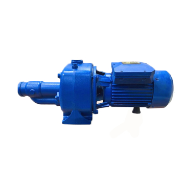 Max One Italian Water Pump, 3 HP