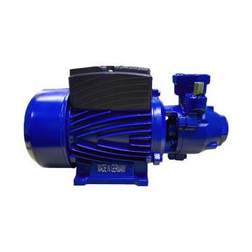 Holmen Water Pump, 0.5 HP