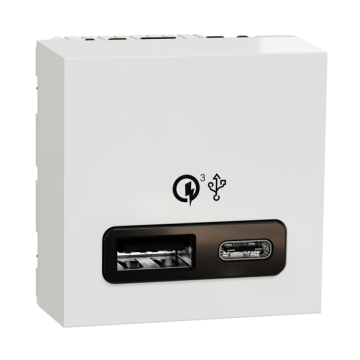 لقمة USB-A+C شنايدر نيو يونيكا 2 فتحة